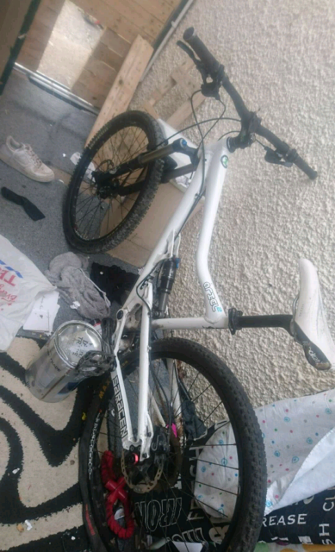saracen ariel 2